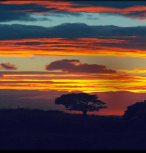 7993149186_8c5d7a7fbe_z