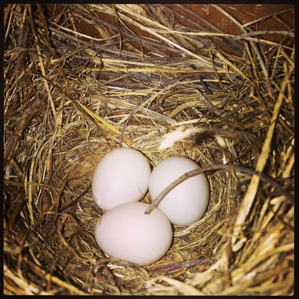 04bc215c0d0c11e3bd6322000a1fa42a_7