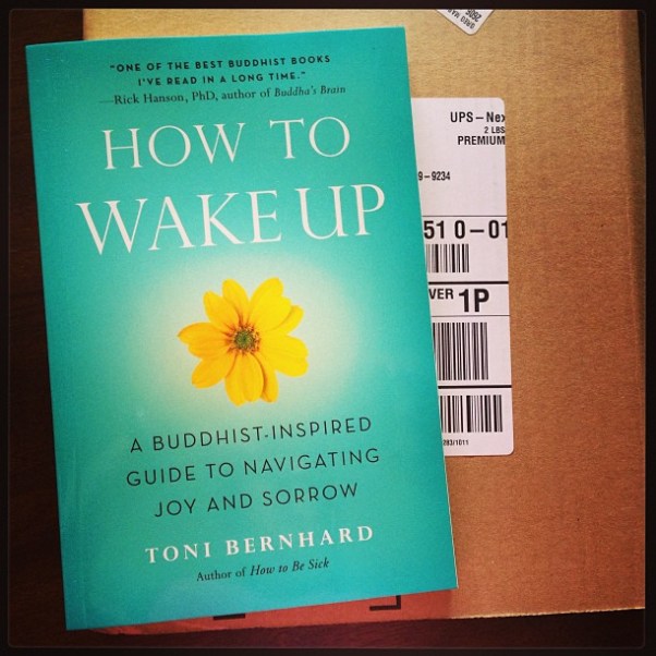 5f06c0b2081211e3aeda22000a1f973b_7