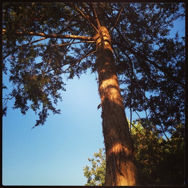 7582f572081211e3a52022000a1f9e5e_7