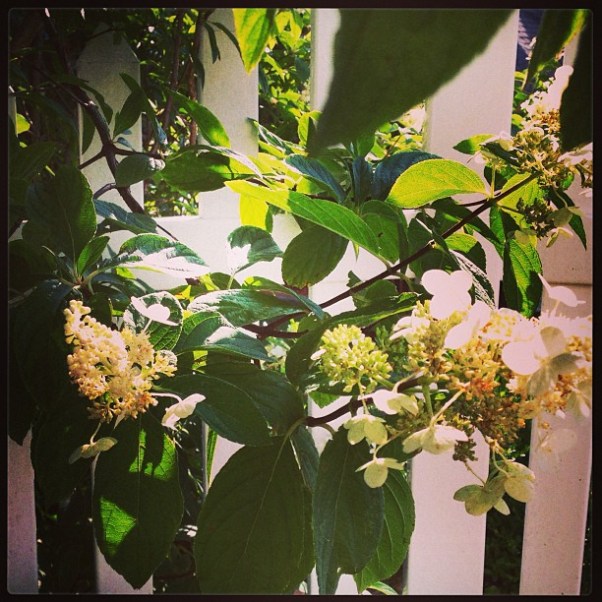 89b3f1fe085d11e3a2ad22000a9e17ad_7